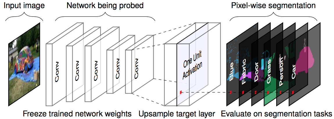 For a given input image and a trained network (fixed weights), we forward propagate the image up to the target layer, upscale the activations to match the original image size and compare the maximum activations with the ground truth pixel-wise segmentation. Figure originally from Bau & Zhou et. al (2017).
